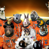 space animals