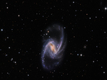 NGC 1365