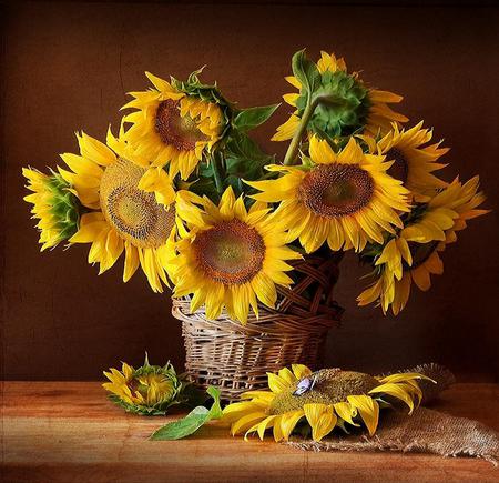 Country sun - brown, butterfly, sunflowers, yellow, table, vase