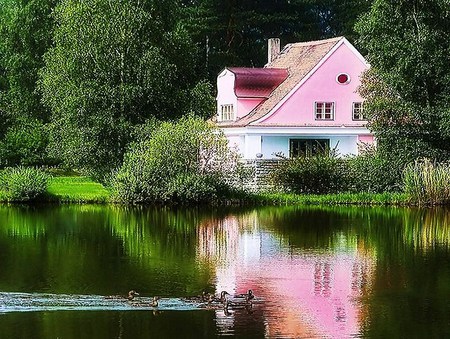 Pink house by the lake - two story, calm, house, trees, birds, bushes, reflection, pink and white, green, lake