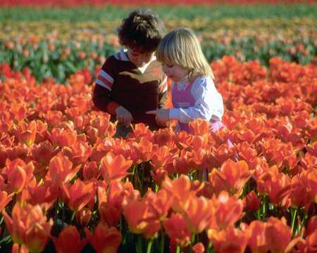 Wonder of it all - red, exploring, flowers, field, girl, learning, boy