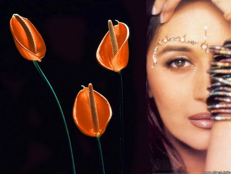 Exotic Woman - face, jewellery, bangles, beautiful, flowers, lillies, woman