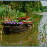 Flower Boat