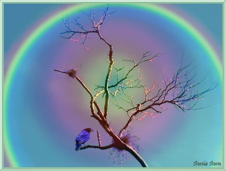 Silver Rainbow Tree