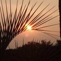 Summer Northern Sunset