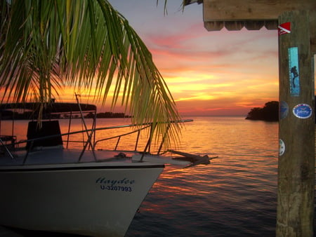 Sunset Harbor - palm tree, dock, sunset, sea, boat