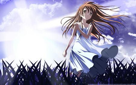 wind - anime, clannad, wallpaper, other