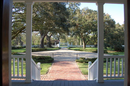 View From The Front Porch - street, trees, scenic, boulevard, sidewalks