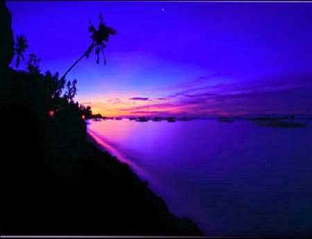 Blue satin sunrise - shoreline, blue sky, sunrise, gold, blue lake, pink, palm tree