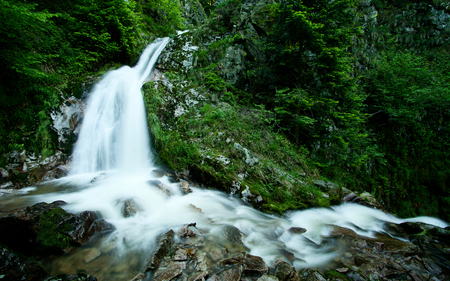 Beautiful Stream Waterfall - forest, mountain, stream, green, waterfall, rocks