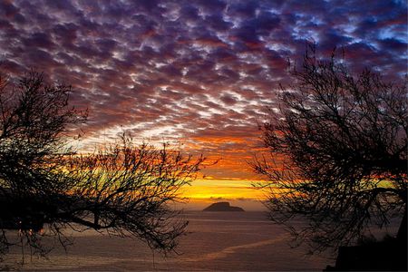 Sunset - clouds, trees, sunset, water