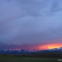 Magic Light of Mongolia