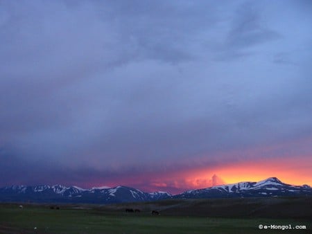 Magic Light of Mongolia - horses, mountains, central asia, sunlight, clouds, colour, vast, snow