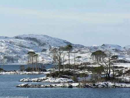 Scotland - Loch Assynt - lochs, loch, scotland, lakes