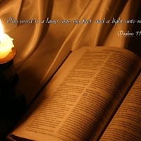 Reading The Bible