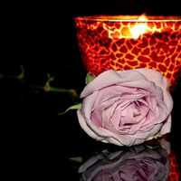 Rose And Candle