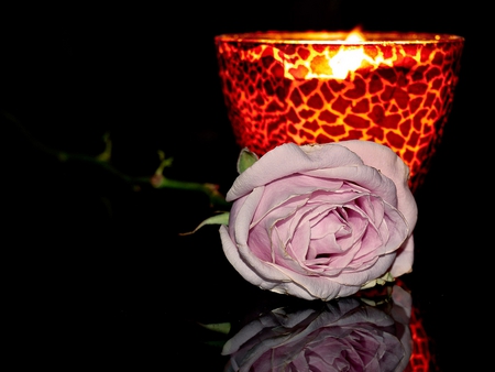 Rose And Candle - beauty, candle, roses, photography, candles, light, pink rose, rose, lovely, nature, romantic, reflection, pink, beautiful, romance, flowers