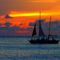 Sails in the sunset