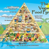 Food Pyramid