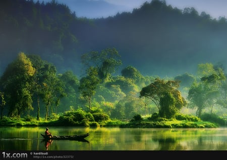 Looking Good In Green - lush, alive, water, green, splendid, boat