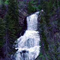 Falls and purple forest