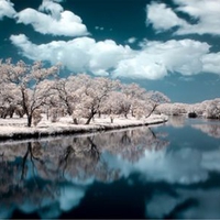 Winters Reflection