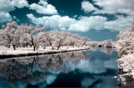 Winters Reflection - snow, trees, water, reflection