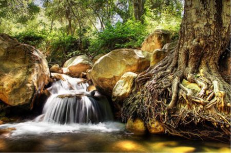 Small Falls - rock, tree trunk, water, waterfall