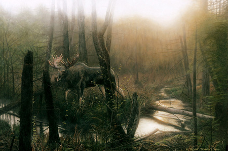 Majesty Of The Mist - deep, dangerous, moose, swamp, woods