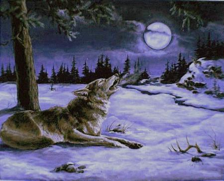 Baying Wolf - moon, wolf, woods, lone, howlingwinter