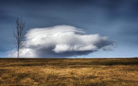 Bad Day - cloud, bad day, field, sky