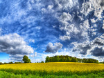 amazing blue sky