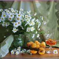 Daisies and apricots - still life