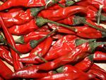 Red Peppers