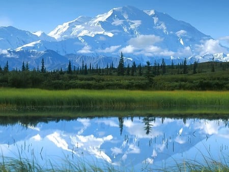 Lake view - lake, nature, water, grass