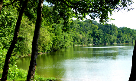 Riverbend - forest, mississippi, river, riverbend, stream, water