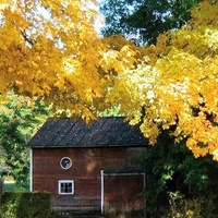 Framed in Yellow