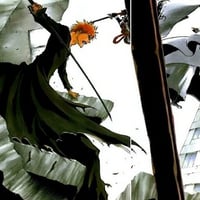 Ichigo vs Aizen