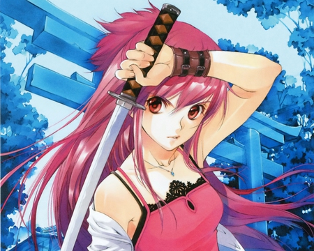 The Blade - anime, warrior, blue, hot, sword, pink, blade, girl female, cute, weapon, sexy