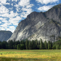 Yosemite Meadows