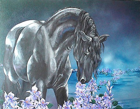 Smelling The  Flowers - flowers, black, water, purple, stallion