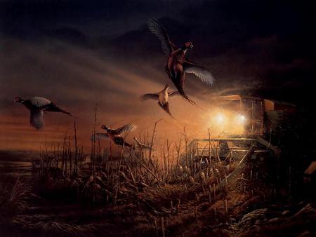 Night Harvest - farm, light, animals, night, seeds, field, glow, harvest, feeding, birds