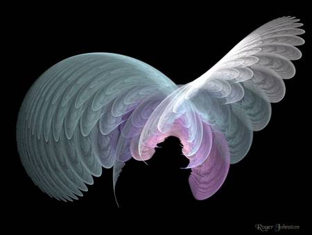 Angel Wings - white, abstract, purple, light, wings, black