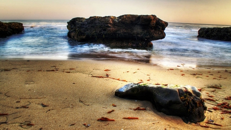 Can you see a skull? - rock, water, beach, skull