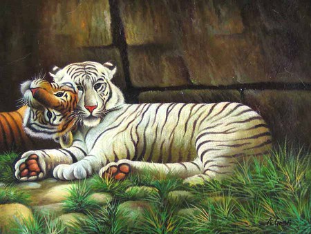 Family Love - bonded, white, yellow, tigers, love, family