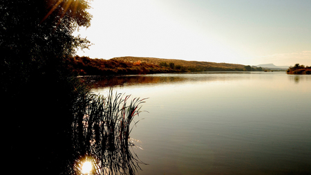 A beautiful scene - lake, trees, light, water