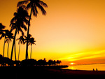 Photography beach scene