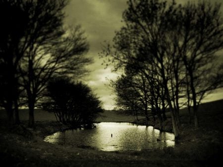 Dark green scene - nature, lake, cloud, water, tree