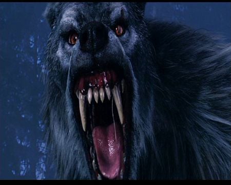 Werewolf - werewolf, creature, movies, van helsing