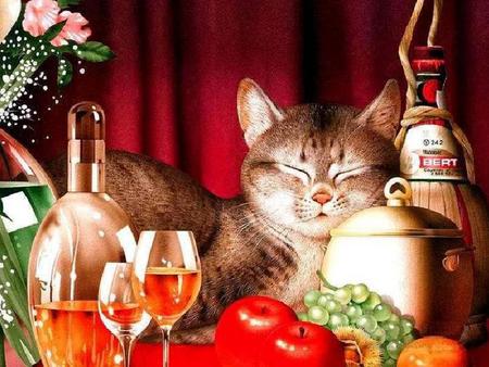 Contentment - pot, flowers, wine, bottle, glasses, fruit, cat